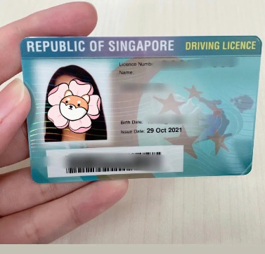 新加坡驾照翻译-新加坡驾照翻译盖章-有资质的翻译公司